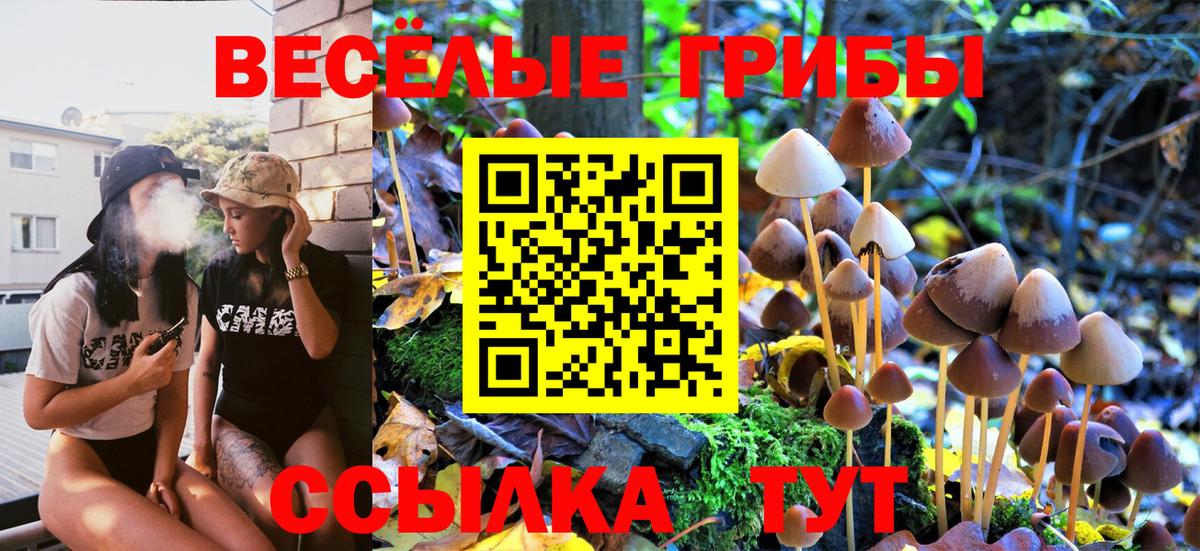 Псилоцибиновые грибы мицелий  Псилоцибиновые грибы GOLDEN TEACHER  Вход с VPN  Приморско-Ахтарск 